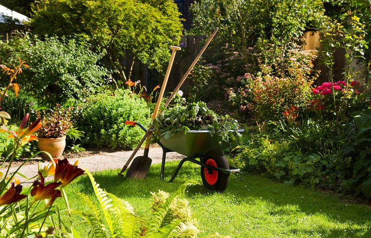 Garden Care